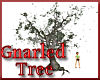 Gnarled Tree