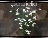 White Trellis Flowers