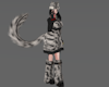 +Cat Tail Tabby