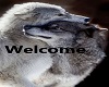 Wolf Pair Welcome Rug