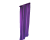 purple curtain #2