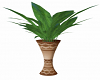 Plant w Vase