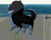 S N Frisbee Dog