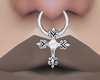 Cross Septum