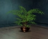 (ew) Plant