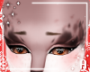 A! Cocoa brows F