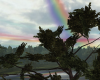 (H) Rainbow Dawn-Request