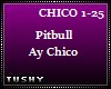 Pitbull Ay Chico