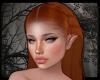 +Seer's Curls - ginger