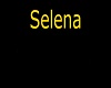 Selen's knecklace