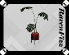 Valentine Floor Plant V2