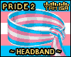 T! Pride Headband #2