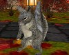 Gray Squirrel Animated