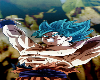 Cutout 1069