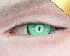✶Harow Eyes
