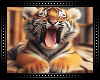 🐅 Tiger Baby BG