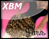 [P] XBM That Cheetah