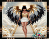 *D* Multi Color WIngs