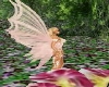 Fairy Wings pink