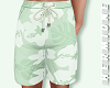 Mint summer shorts