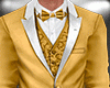 Gold Fulll Body Suit