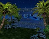 Romantic Blue Rose