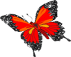 sticker butterfly