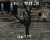 [G]CROW TREE AN