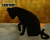 Animated Black Cat V2