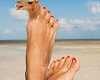 camel toe song 1-8