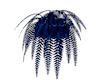 blue passion fern