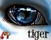Wild.Eyes Tiger (m)