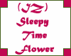(IZ) Sleepy Time Flower