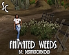 SC Animated Waving Weeds