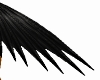 Crow Arm Wings