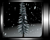 {VS} Winter Tree w/Snow