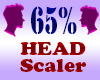 Resizer 65% Head