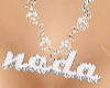 Neda's Necklace