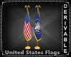 2 United States Flags