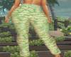 [L] Spring Cargos