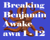 Breaking Benjamin Awaken