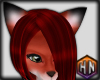 ears vixen red fox furry