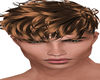 Req Brown Hair