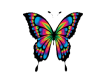 Neon Butterfly (Animated