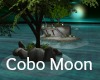 ~SB Cobo Moon