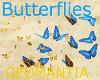 2 Butterflies enchancer