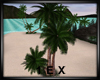 1EX PB Palm Tree Addon
