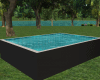 DER: Pool