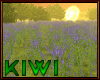 Animated lavender field
