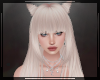 + Haydie Sakura